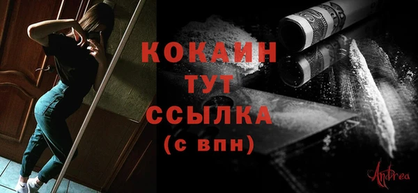 хмурый Верея
