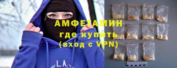 хмурый Верея