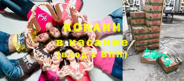 хмурый Верея