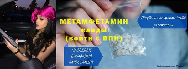 индика Володарск