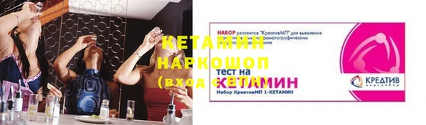 индика Володарск