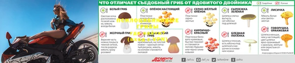 индика Володарск
