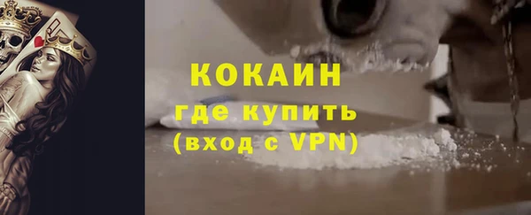 хмурый Верея