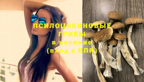 индика Володарск