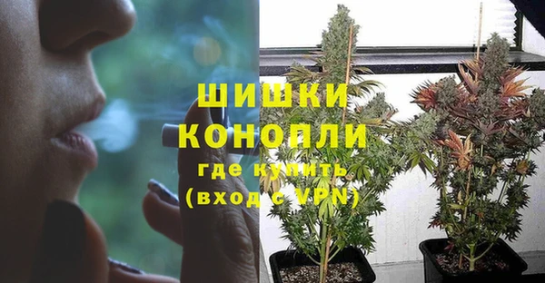 индика Володарск