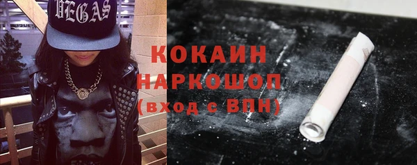 индика Володарск